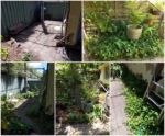 See what two of our amazing women did this week. In two and a half hours they weeded, pruned and tidied up. Well done Garden Girls.
